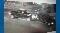 Authorities seek help identifying suspect who stole cattle panels in Leon County