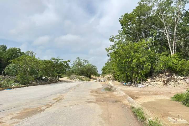 Alertan sobre fraudes inmobiliarios y daños ambientales por venta de terrenos irregulares en Playa del Carmen