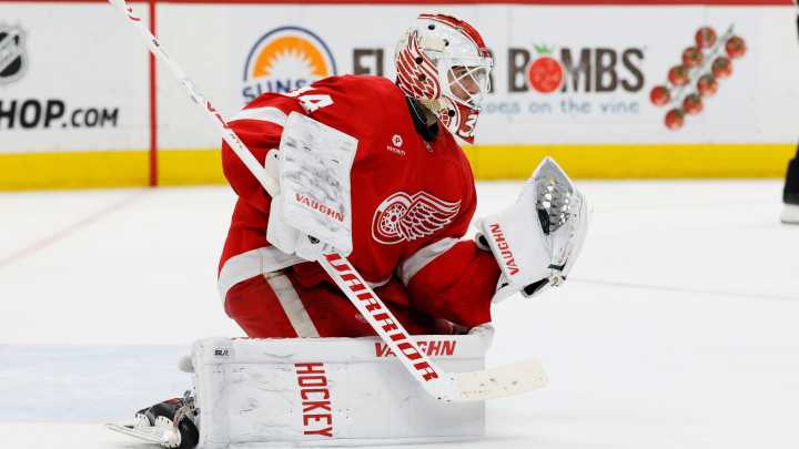 Alex Lyon's journey from Detroit Red Wings to Buffalo Sabres