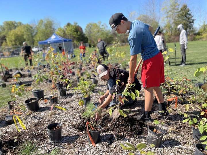 'End of the beginning' for Napanee's first Little Forest project