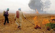No smoke, no fire for 3 days: Crackdown leads to dramatic fall in Punjab stubble burning