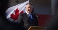 McGuinty says Canada's first defence industrial strategy will land weeks after budget
