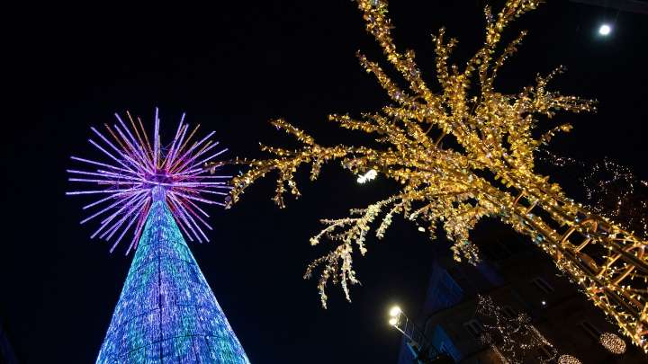 Vigo se lanza a levantar el árbol de Navidad “más importante del planeta”