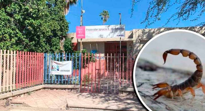 Hospital de IMSS no tenía suero antialacrán al recibir a menor de 5 años picada en preescolar de Hermosillo; se consiguió a la brevedad, se aplicaron 2, pero menor falleció, informa instituto