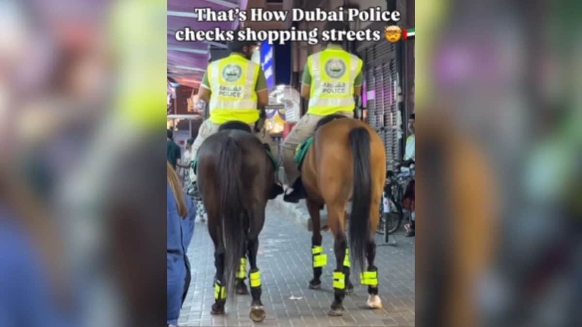 'Kings On Horseback': Indian Woman Shares Video Of Dubai Police Patrolling On Horse