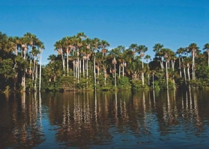 COP 30: Perú presentará soluciones concretas frente a los impactos del cambio climático