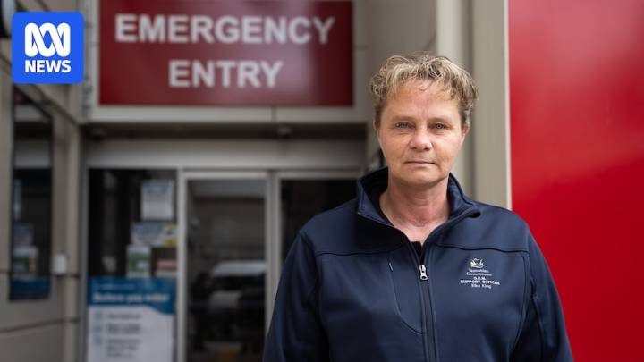 Staff at Tasmania's public hospitals say physical and verbal abuse a normalised part of the job