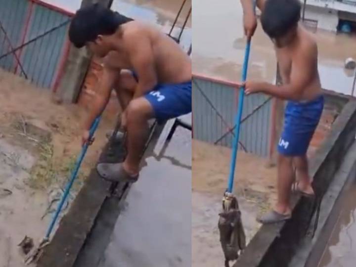 VIDEO: Niño rescata a gatito atrapado por inundación en Veracruz