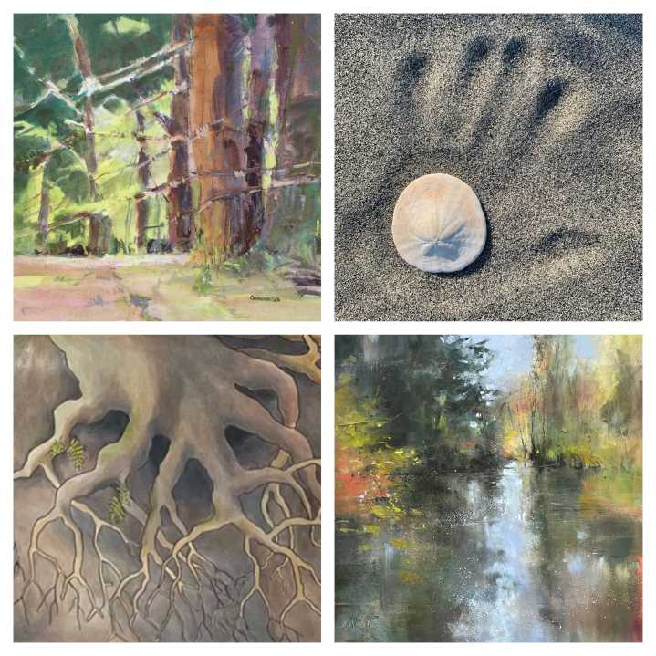 New exhibitions fill the walls of local arts spaces