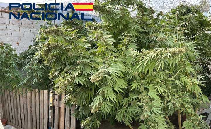 Detenido por tráfico de drogas en Villanueva de la Serena (BA)