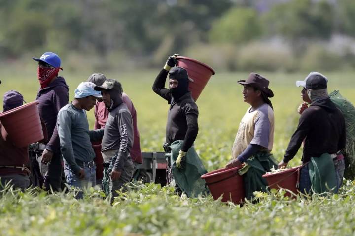 Ministerios evangélicos hispanos llevan esperanza a los trabajadores agrícolas