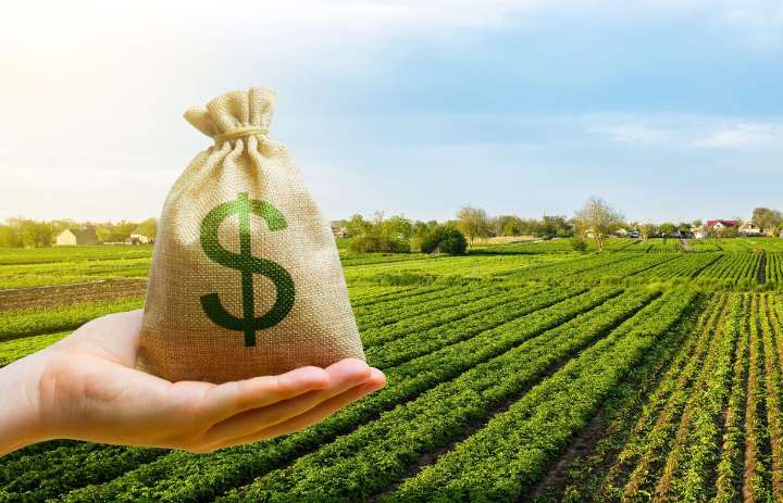 Por la eliminación de las retenciones, la recaudación tributaria cayó 10% en septiembre