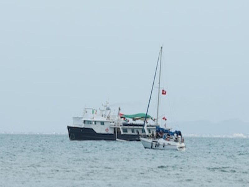 Flotilla Internacional en Riesgo de Intervención Militar: Gaza