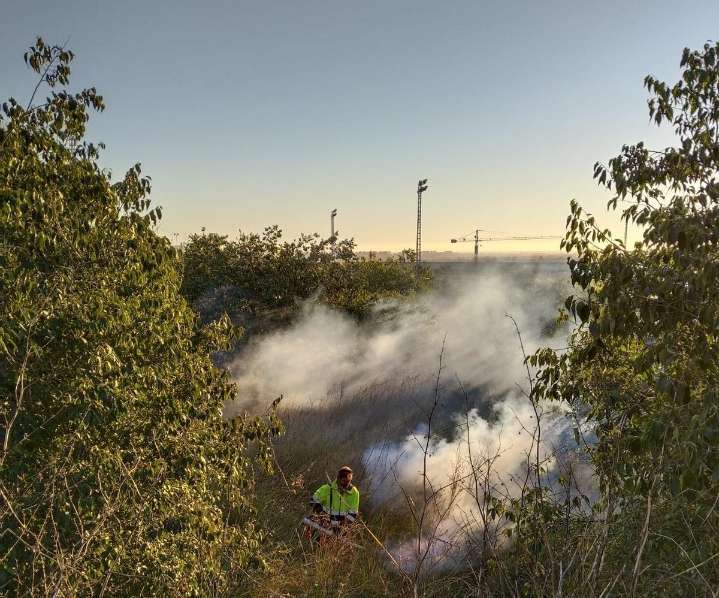 Castellón prolonga los tratamientos contra la proliferación de mosquitos en el Grao e instalaciones deportivas