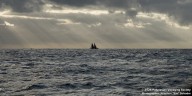 Hokulea, Hikianalia set sail to New Zealand
