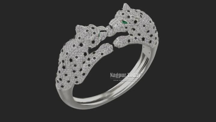 Jalgaon’s 21-yr-old Utkarsh Chavan shines bright with his diamond e