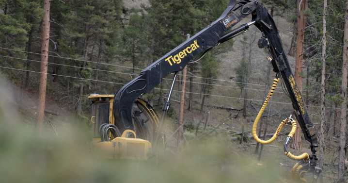Federal, state and local groups partner on East Fork wildfire mitigation project