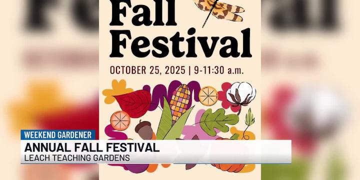 Weekend Gardener: The Gardens Fall Festival