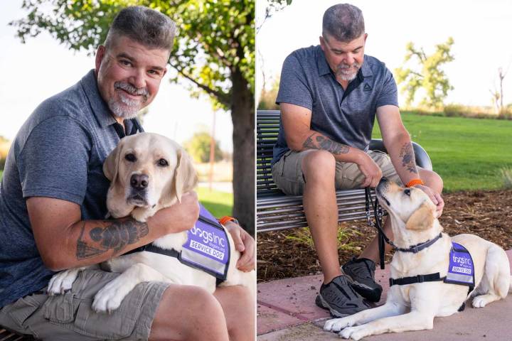 Hero PTSD Service Dog Saves Veteran Owner's Life Twice (Exclusive)