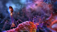In A World First, Scientists Used AI To Generate A Genome And Produced A Working Virus From It