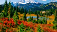 Washington's Top National Park Is Accessible Via AmtrakWashington's Top National Park Is Accessible Via Amtrak