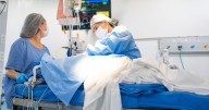 World's first pig-to-human liver transplant in 'landmark' surgery with new hope for thousands