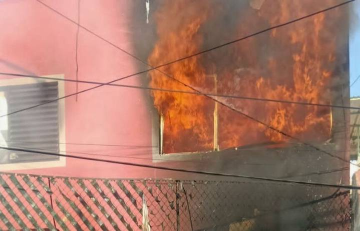 Perrito muere en incendio originado por altar de muertos