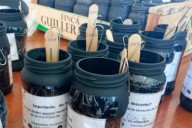 Dengue: duplicarán la cantidad de ovitrampas en la ciudad