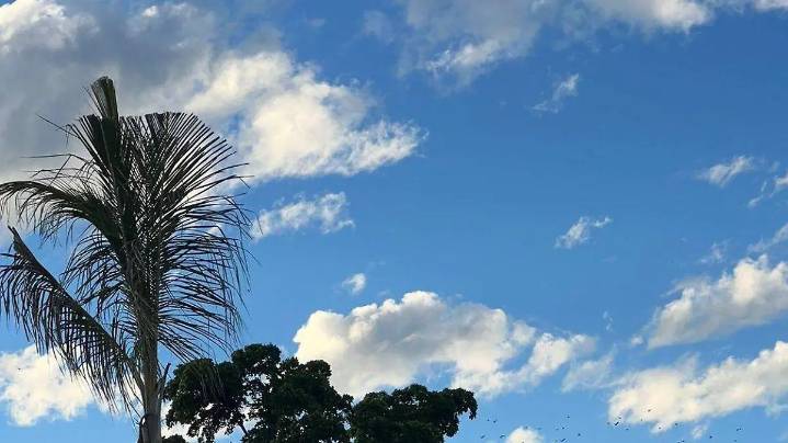 Martes soleado en Sinaloa: el termómetro alcanzará hasta los 36 grados