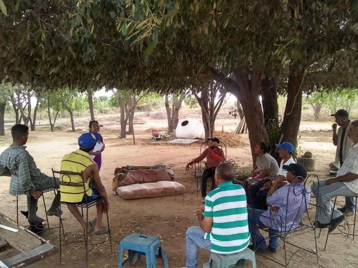 Descubre la Granja Escuela de Cabimas: Un Oasis de Maní y Hortalizas en Tu Comunidad