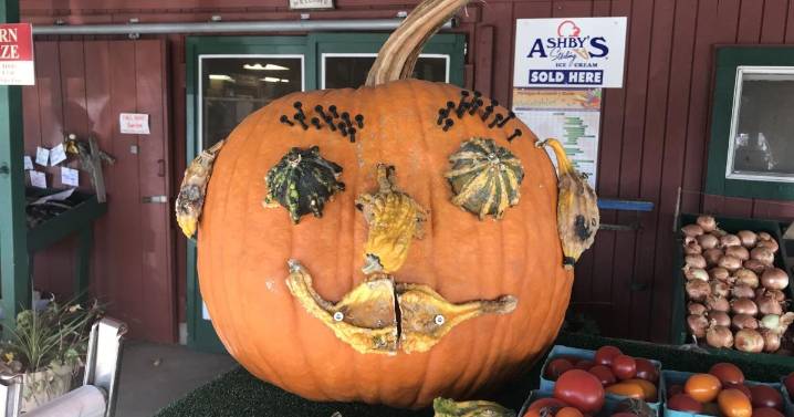 Last chance: Farm stand wraps season