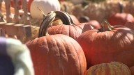 Events happening in Albuquerque this weekend