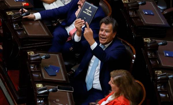 Manes busca que este miércoles se discuta la expulsión de Espert de la cámara de Diputados