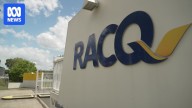 RACQ apologises to customers for problems with insurance renewal notices amid potential multimillion dollar lawsuit