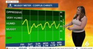 THIS WEEKEND: Gorgeous weather, but watch for coastal flooding and rip currents