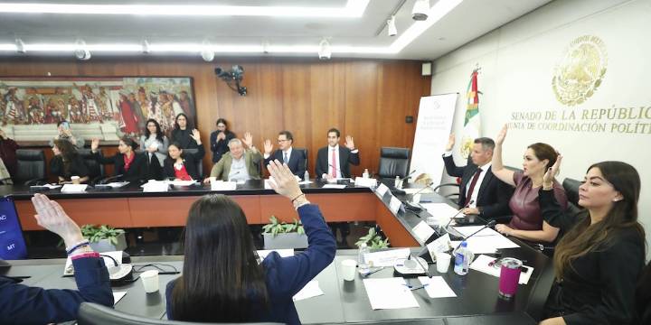 Reforma electoral: Senado propone mayor número de candidaturas para grupos vulnerables