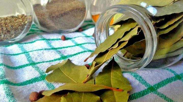 Ritual de la luna creciente: cómo atraer abundancia con agua, azúcar y laurel este miércoles 29 de octubre