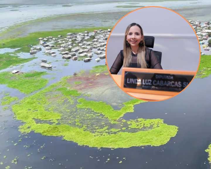 Diputada del Magdalena convoca nuevo debate por deterioro ambiental en la Ciénaga Grande