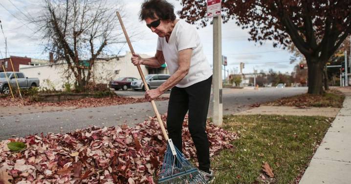 Things to do in the garden this week