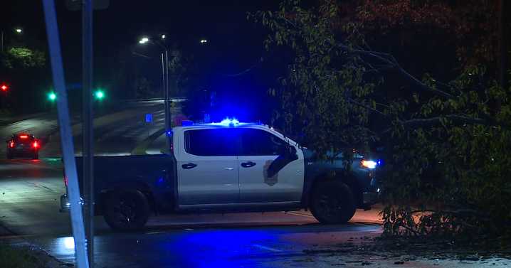 Large tree removed from Wade Avenue in Raleigh, road reopens :: WRAL.com