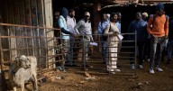 Ancient trade in Spain gets a boost from African migrants