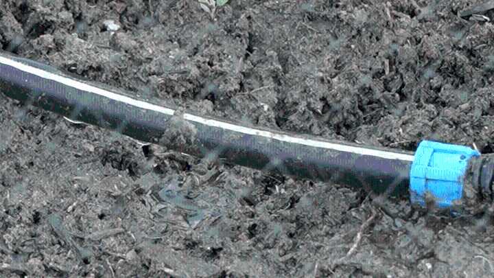 La recolección de agua pluvial como solución a la sequía en Texas