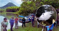 ¿Qué provocó la muerte de 4 mil peces en emblemático sitio turístico de Caldas? Autoridad ambiental investiga