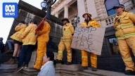 Victorian volunteer firefighter numbers grow despite levy angst