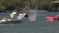 Pumpkins take flight as Captain's Quarters kicks of Breast Cancer Awareness Month