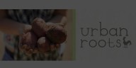 urban roots adult kitchen