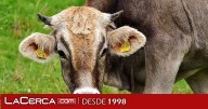 Bruselas plantea un escudo para agricultores UE ante caídas de precios causadas por productos del Mercosur