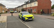 Teenage boy bitten by dog in Cambridgeshire suburb