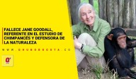 Fallece Jane Goodall, referente en el estudio de chimpancés y defensora de la naturaleza