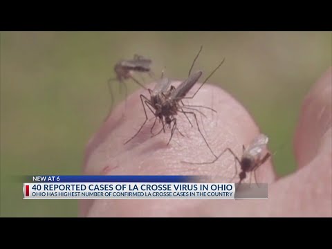 Ohio leads US in mosquito-spread virus that affect children